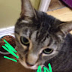 Meet your Posher, Ange